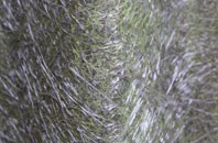 Illston On The Hill fibreglass roof work